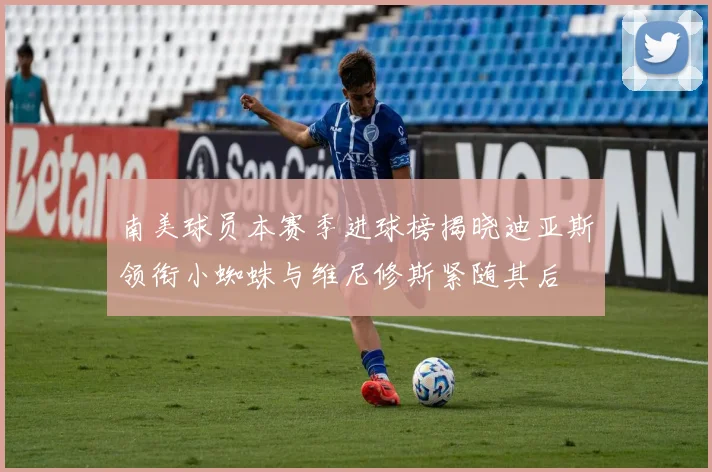 南美球员本赛季进球榜揭晓迪亚斯领衔小蜘蛛与维尼修斯紧随其后