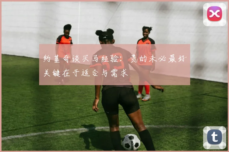 约基奇谈买马经验：贵的未必最好关键在于适合与需求